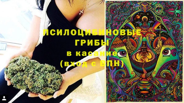 трава Рославль