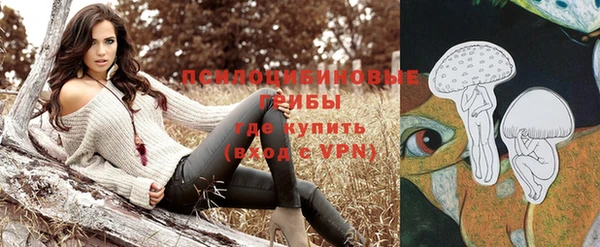 молекула духа Сатка