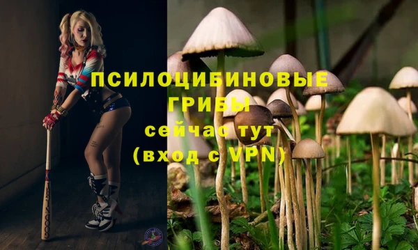кокаин премиум Ростов